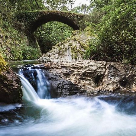 Finca Charco La Olla Jabugo Luaran gambar