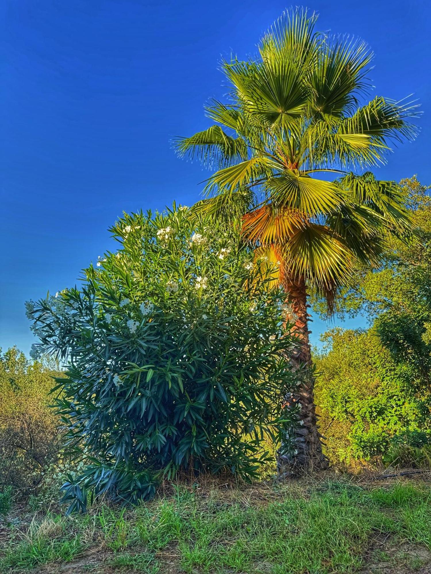 Finca Charco La Olla Jabugo Luaran gambar